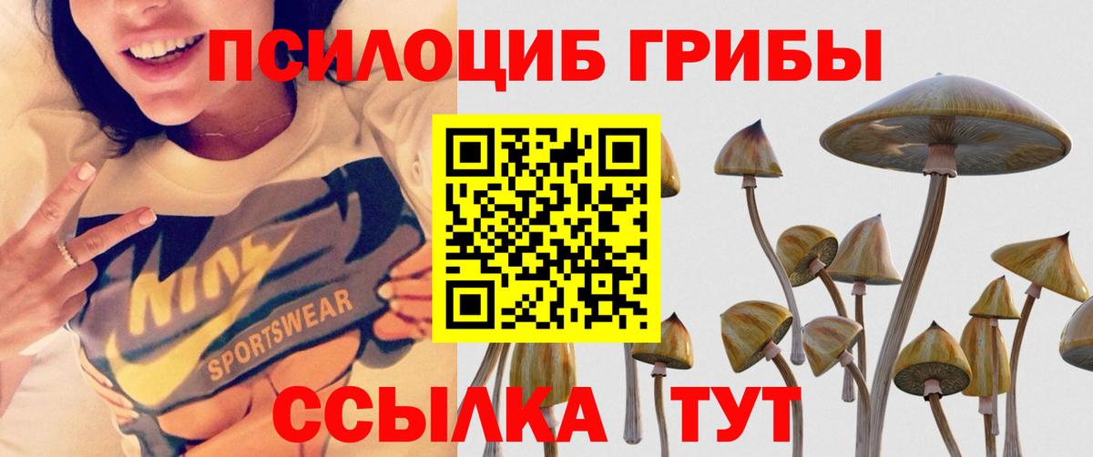 Минеральные Воды  Псилоцибиновые грибы Magic Shrooms  Вход с VPN 